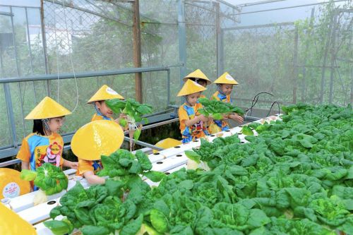 Tour học sinh, tour trải nghiệm học tập 